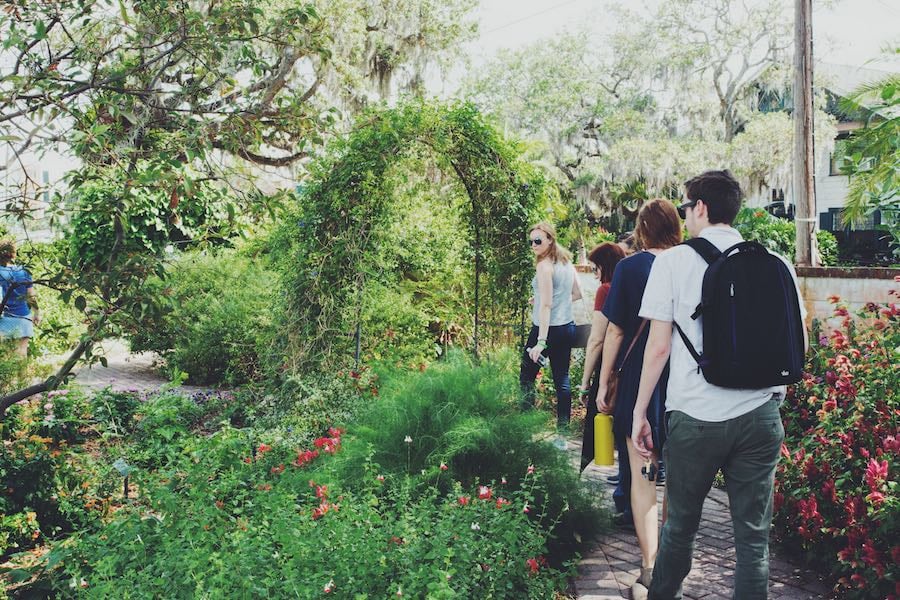 A stroll through the butterfly garden at Selby