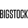 big stock logo